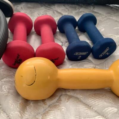 33. Exercise equipment, pilates rings, weights, etc.