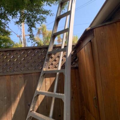 79.  Orchard 10-foot ladder