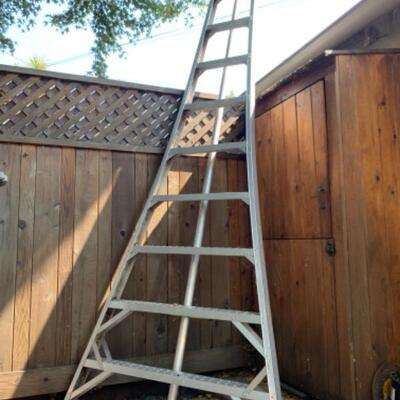 79.  Orchard 10-foot ladder