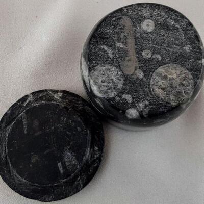 Carved Fossils Box