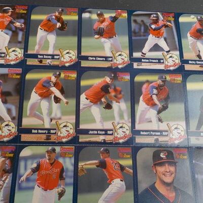 " Paw Sox 2003 Player card set and 2 great Books on Fenway."