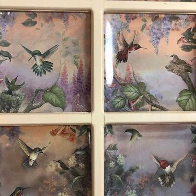 #63  Collection of Humming Bird Plates in display frame. 