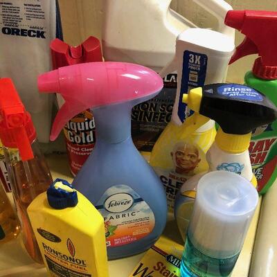 #166 Household cleaning items  