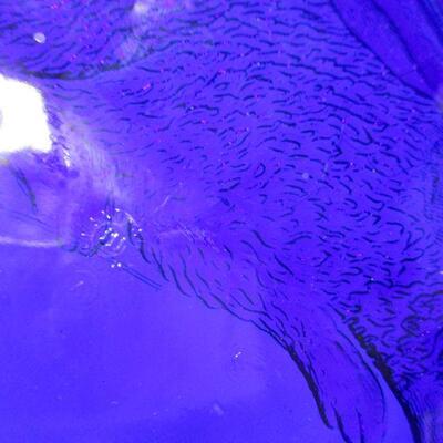 Lot 78 - Cobalt Blue Glass Lucky Bunny Plate - Westmoreland