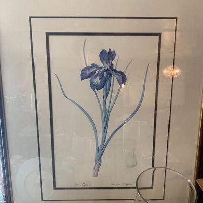 2 Vintage Iris Matted and Framed Prints