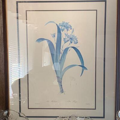 2 Vintage Iris Matted and Framed Prints