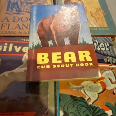 Juvenile adventure book lot 
