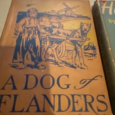 Juvenile adventure book lot 