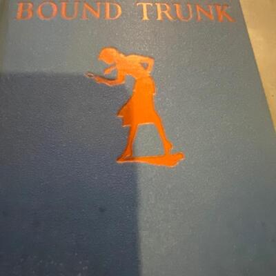 Hardy boys Nancy Drew book lot 