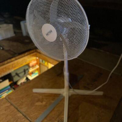 Adjustable Floor Fan