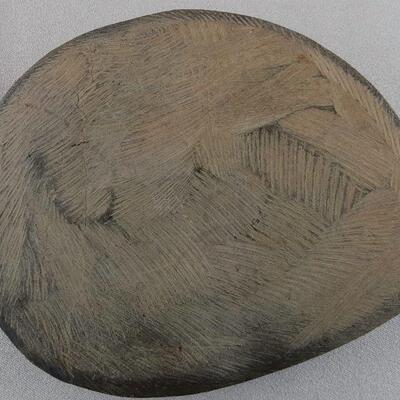 Ammonite Fossil Paperweight
