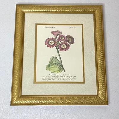 Pair of Floral Art with Gold Frames