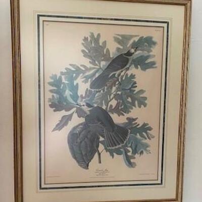 LOT#4LR: Trio of Audubon Lithographs Dated 1831
