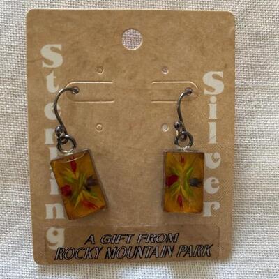 Rocky Mountain Park souvenir earrings 