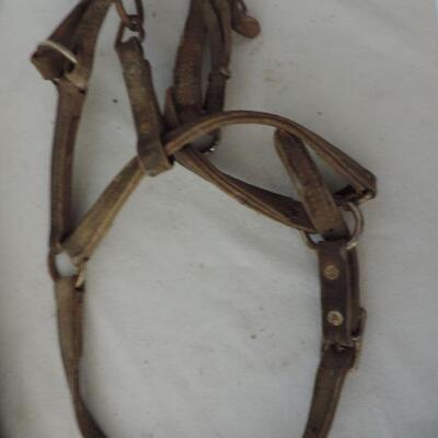 VINTAGE HORSE COLLAR & YOKE