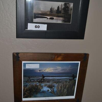 LOT 60 TWO FRAMED PICS OF NATURE SCENES