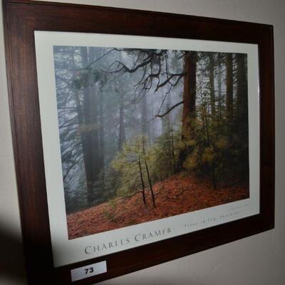 LOT 73. FOREST FRAMED PICTURE