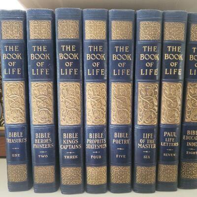 Lot 4: The Book of Life Vol. 1-8
