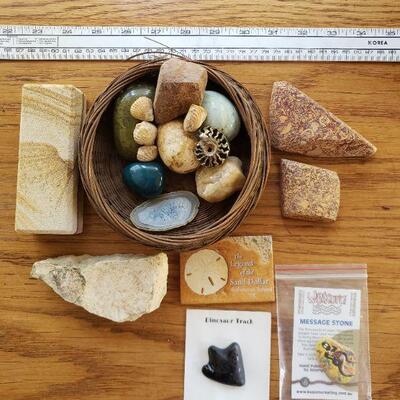 Lot 83: Rocks and Fossils