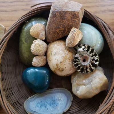 Lot 83: Rocks and Fossils
