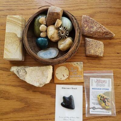 Lot 83: Rocks and Fossils