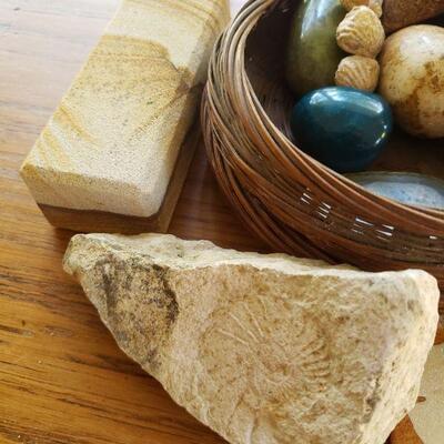 Lot 83: Rocks and Fossils