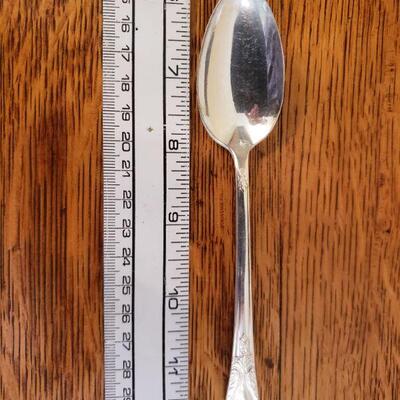 Lot 99: Silverplate Spoon Set (7)