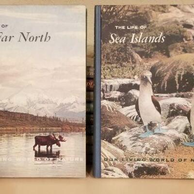 Lot #140: Hardback Animal Educational Home School Ready "THE LIFE OF ..." Series 