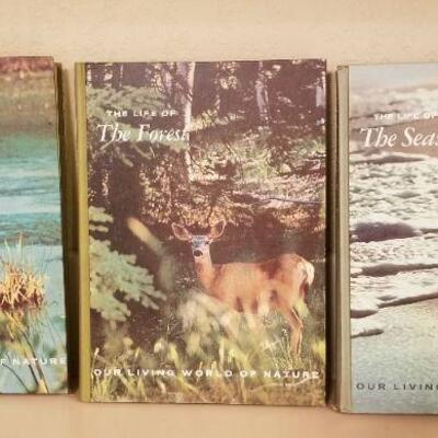 Lot #140: Hardback Animal Educational Home School Ready "THE LIFE OF ..." Series 