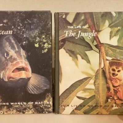 Lot #140: Hardback Animal Educational Home School Ready "THE LIFE OF ..." Series 