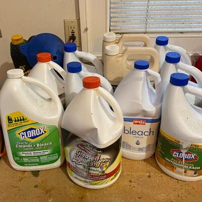G - 615. Lot of Cleaners & Bleach