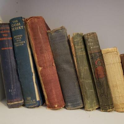 Lot 206: Antique & Vintage Book lot