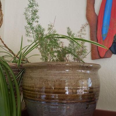 Lot 288: Potted Plant