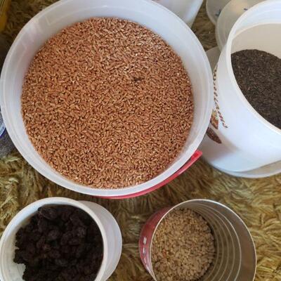Lot 410: Bird Seed and Feeder Lot