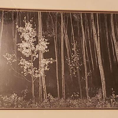 Lot 422: Art (2) (20" Ã— 16")