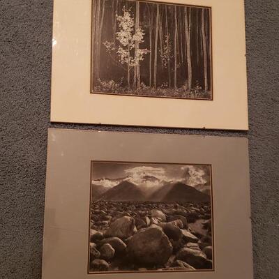 Lot 422: Art (2) (20" Ã— 16")