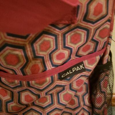 Lot 493: Calpak Luggage