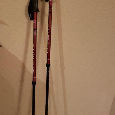 Lot 509: Komperdell Summit Walking Poles