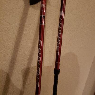 Lot 509: Komperdell Summit Walking Poles