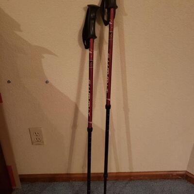 Lot 509: Komperdell Summit Walking Poles
