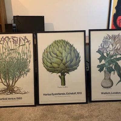 LOT 25 Framed Botanical Prints 3