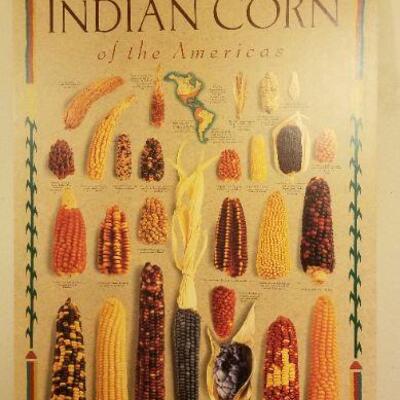 Lot #531: Vintage INDIAN CORN Variety Posterboard 36" x 24" 