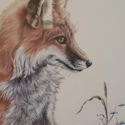 "Fox Pause"  limited edition