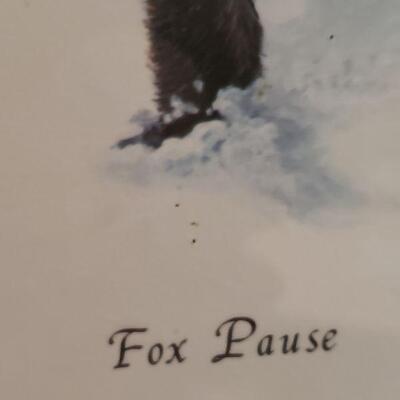 "Fox Pause"  limited edition