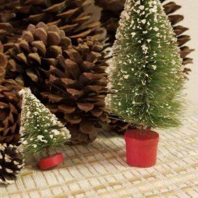 Lot #621: Huge Pinecone Lot 