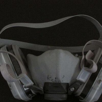Lot 216- 3M Safety Mask