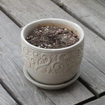 Lot 259- Collection of Planting Pots