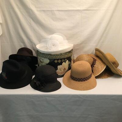 Lot 51 - Stetson, Pendleton & More Hats
