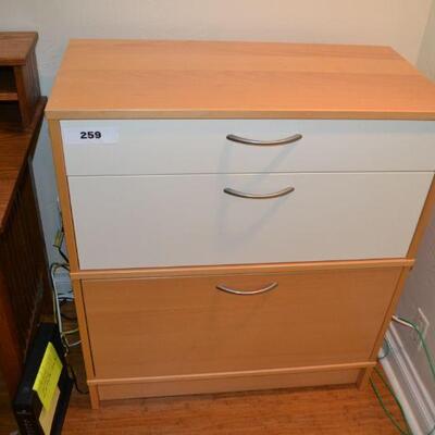 LOT 259.  FILE CABINET AND STORAGE