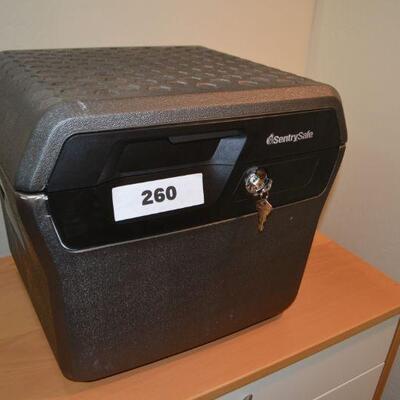 LOT 260. SENTRY SAFE LIKE NEW CONDITION